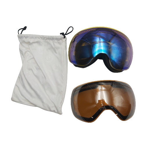 Dragon Advanced Projects Ski Goggles with Extra Visor, Bag And Case