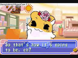 Petz Hamster Life 2 - Gameboy Advance